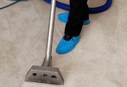 Carpet Cleaning Highgate