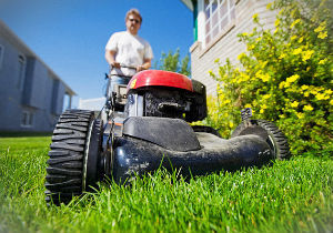 grass-cutting