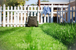 grass-cutting-services-highgate