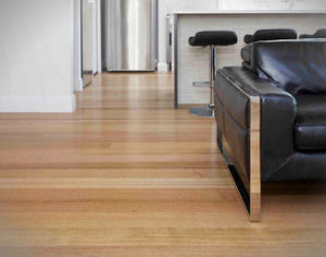 hard-floor-cleaning-polishing-highgate